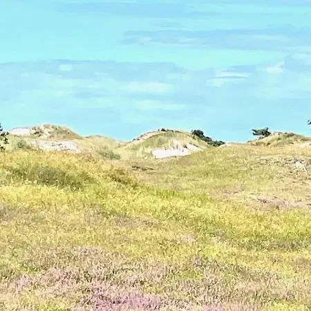 Rosenberg 43 Comfortable *