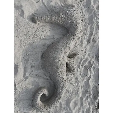 Rosenberg 43 Comfortable Vakantiehuis Zingst