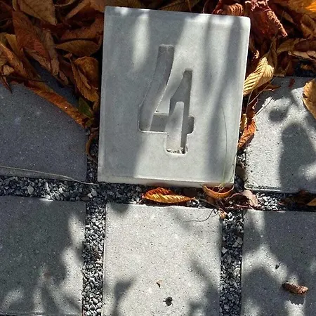 Rosenberg 43 Comfortable Zingst